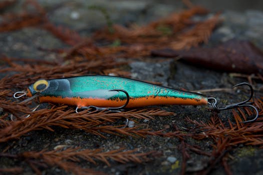 Jak Vybrat Dětskou Návnadu pro Úspěšný Rybářský Výlet?