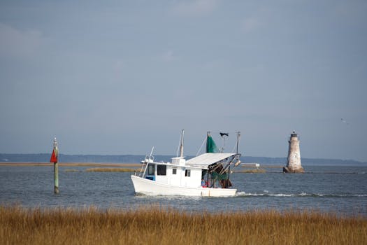 Jak Vybrat Dětské Rybářské Povlečení na Loď: Průvodce 2023