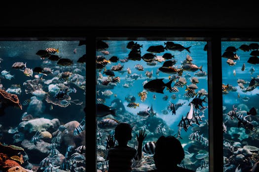 Tipy pro Nezapomenutelný První Dětský Rybářský Výlet