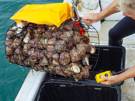 První Úlovek Dítěte: Radost a Zodpovědnost při Rybaření